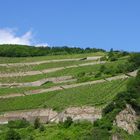 Ein Pavillon  auf dem Weinberg von Assmannshausen am Mittelrhein