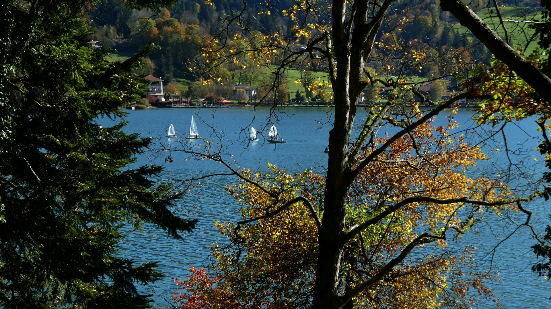 ein perfekter Herbsttag am Schliersee / Obb.