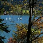 ein perfekter Herbsttag am Schliersee / Obb.