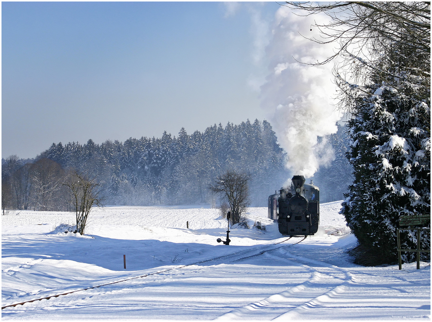 Ein perfekter Winterdampftag 2005 XLIX