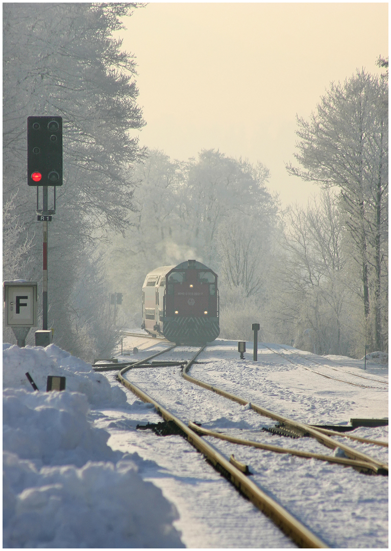 Ein perfekter Winterdampftag 2005 XV