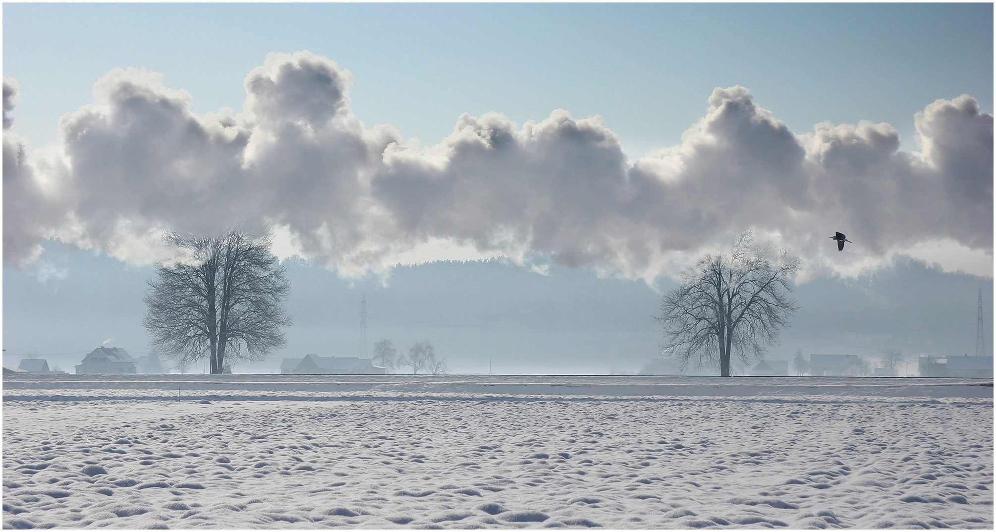 Ein perfekter Winterdampftag 2005 XXXIII