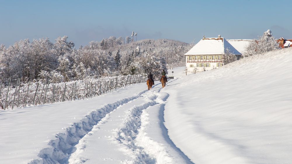 Ein perfekter Wintertag...