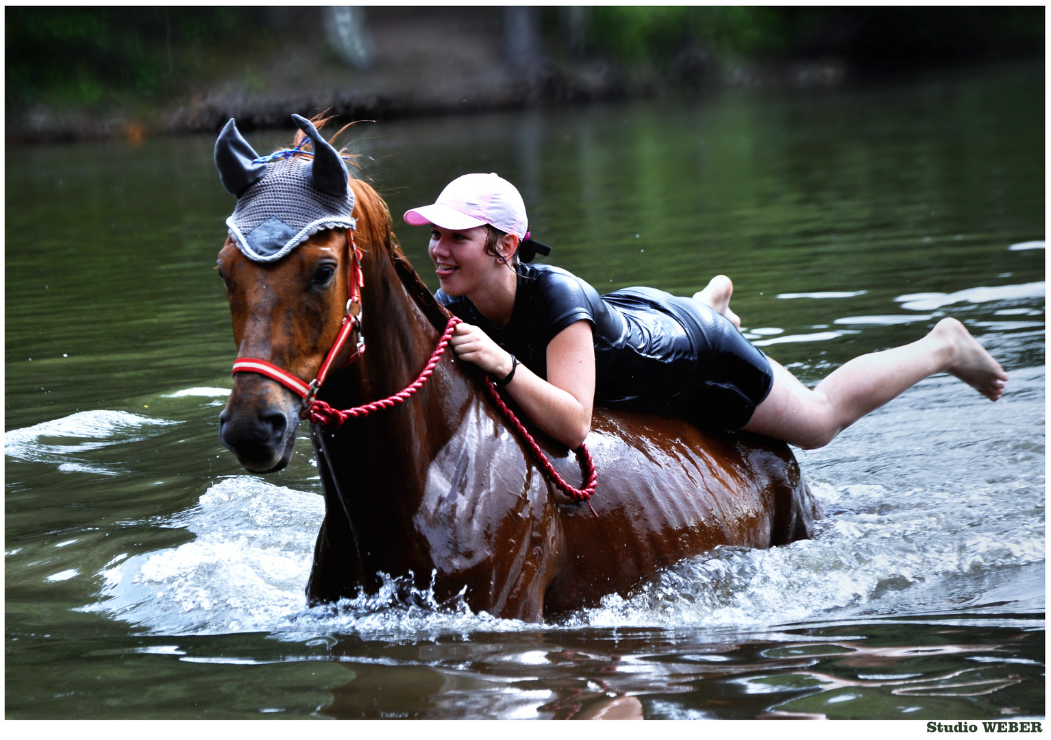 Ein Pferd baden