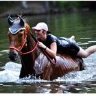 Ein Pferd baden