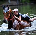 Ein Pferd baden