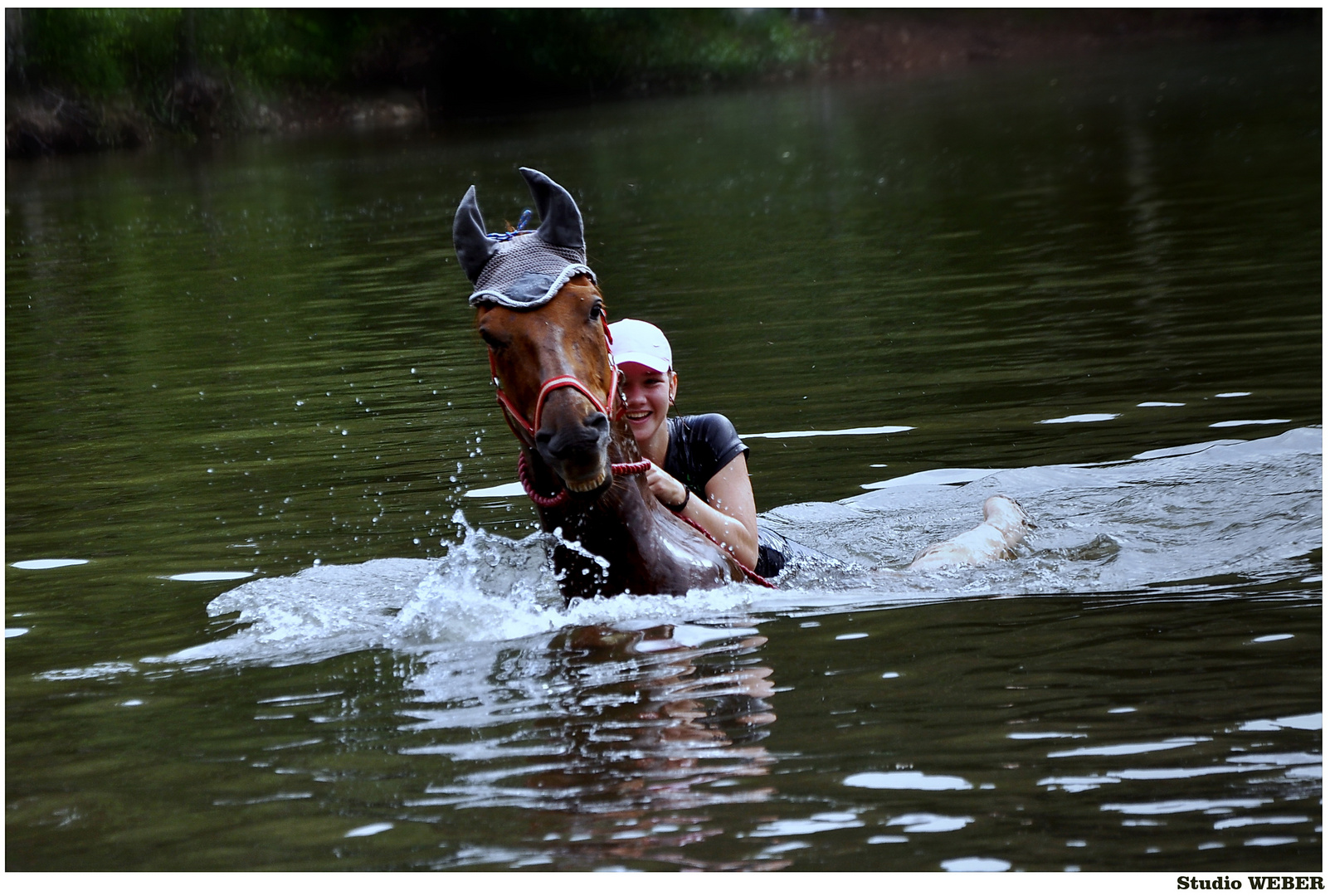 Ein Pferd baden.