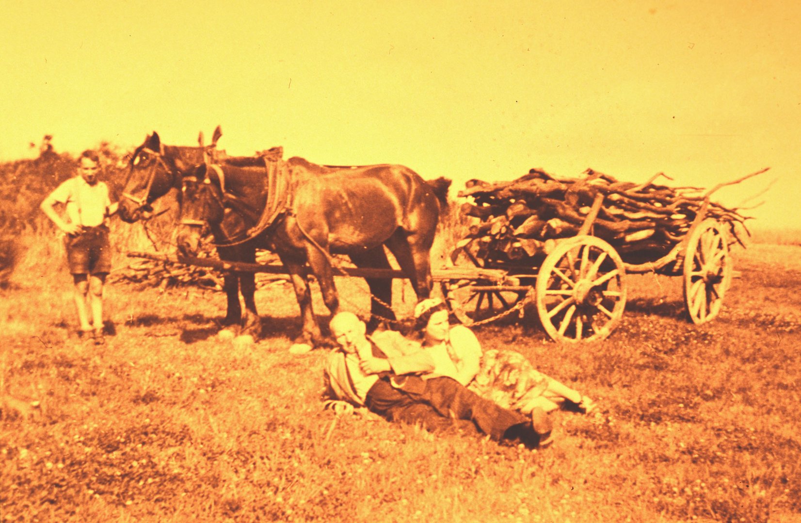 Ein Pferdewagen mit Lohholz für die Gerbereien