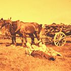 Ein Pferdewagen mit Lohholz für die Gerbereien