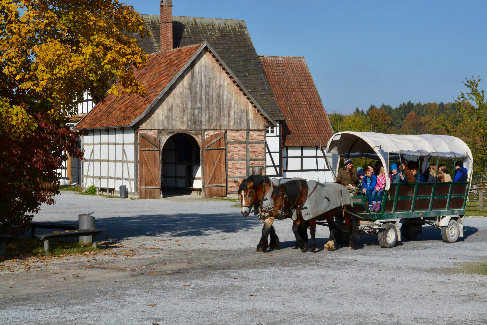 Ein Pferdewagen voller Kinder ...