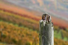 Ein Pföstle im Weinbergle