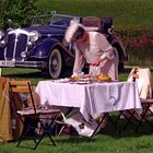 Ein Picknick im Grünen.