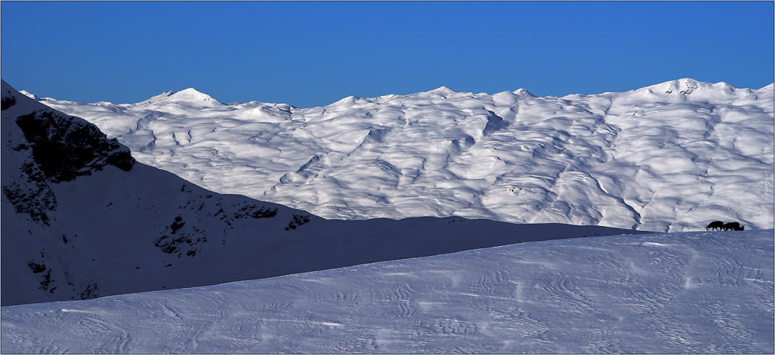 Ein Plädoyer für Schneemeerferien