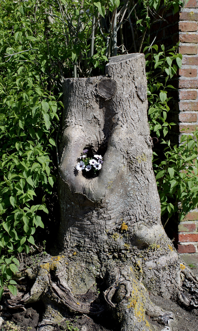 Ein Plätzchen für Blumen…