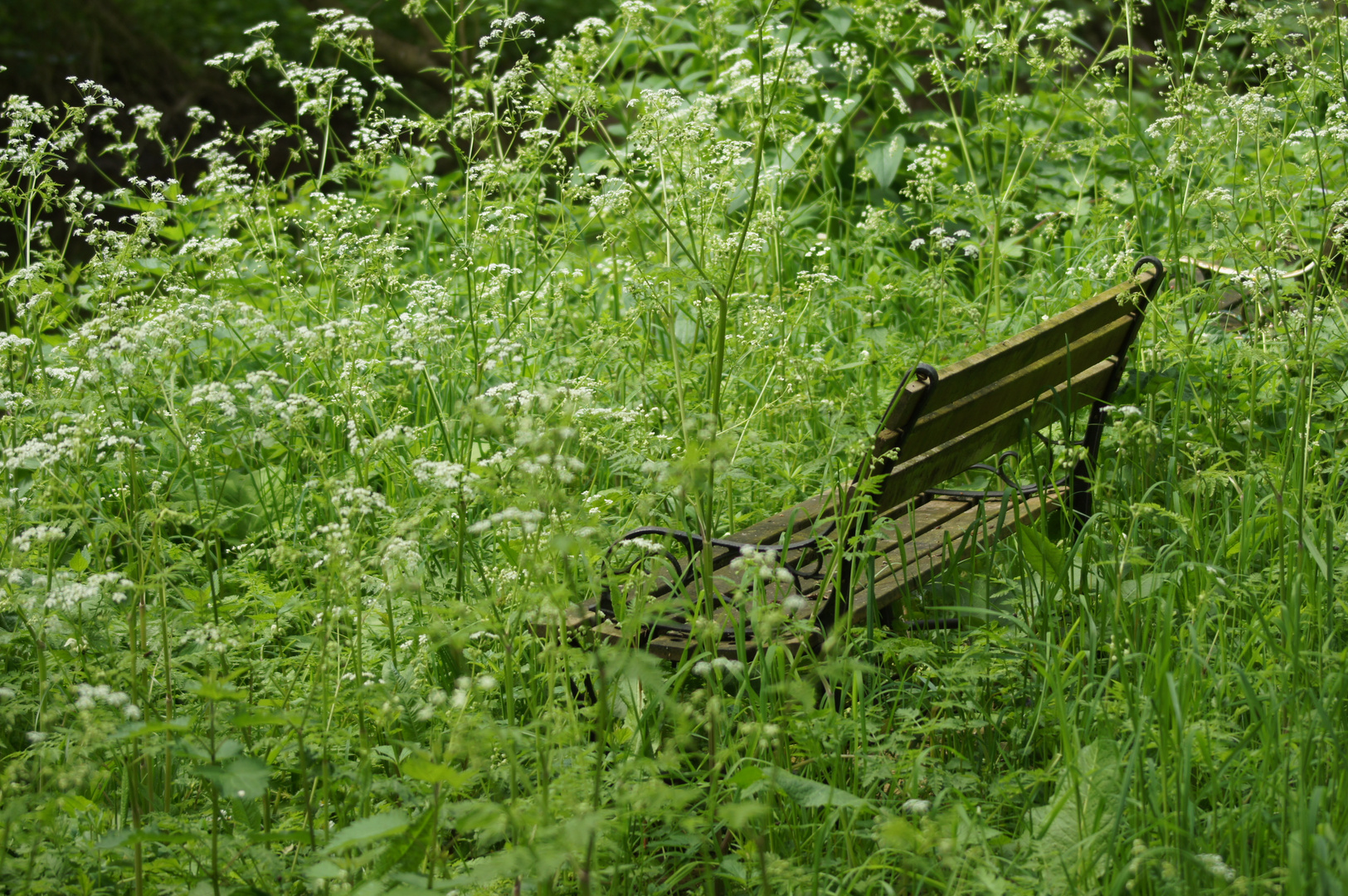 Ein Plätzchen im Grünen