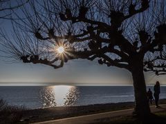 Ein Platz am Bodensee