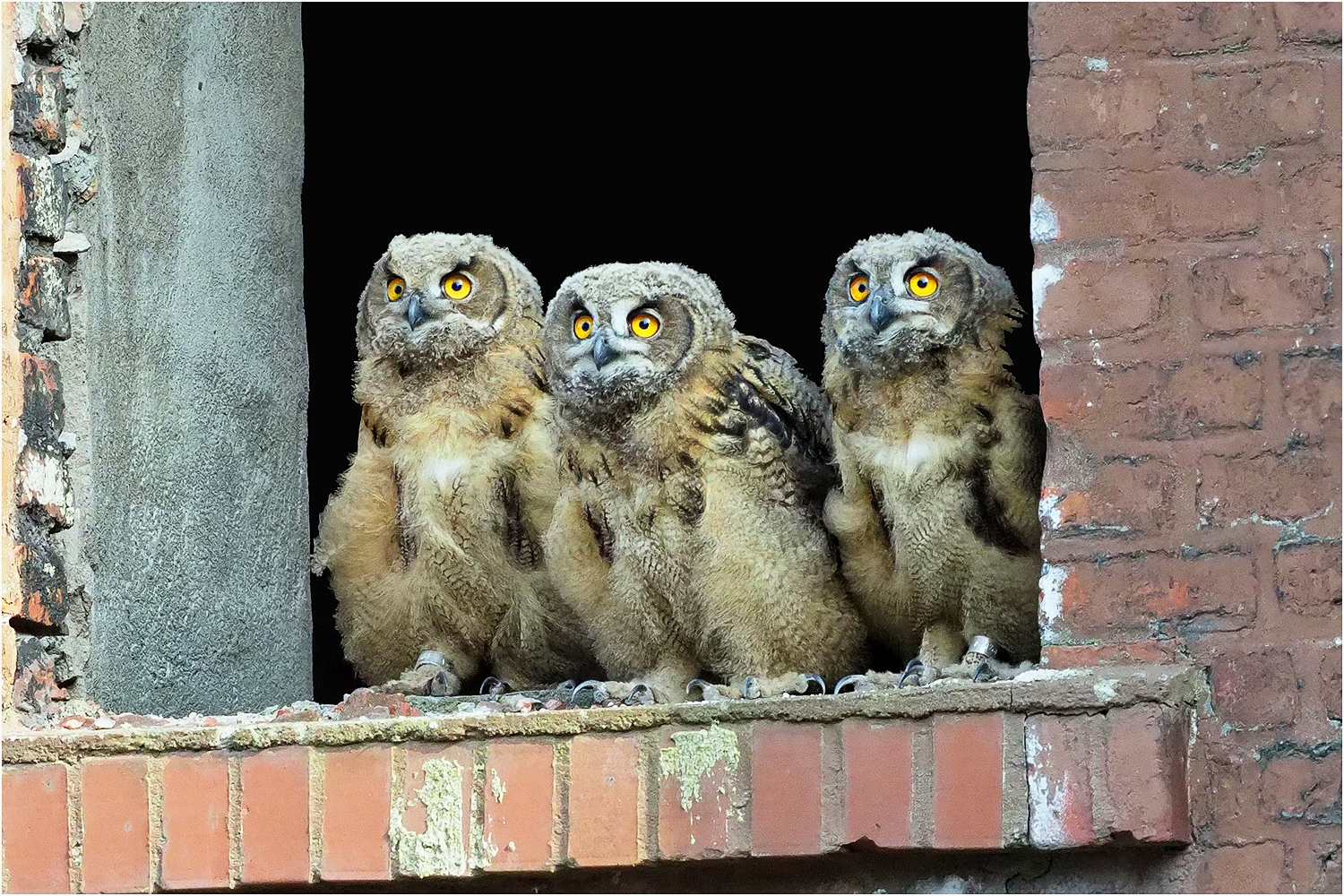 Ein Platz am Fenster