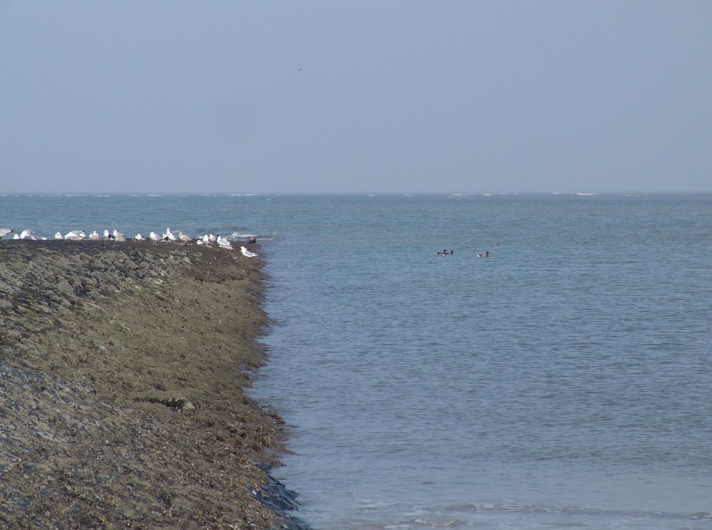 ein platz am meer