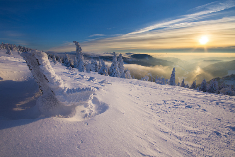 Ein Platz an der Sonne