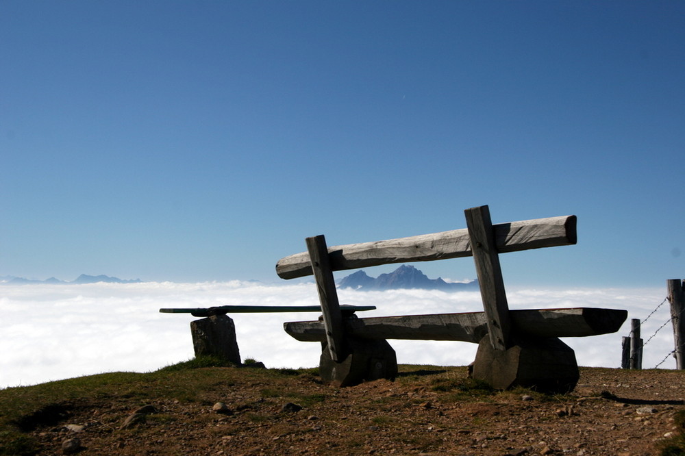 Ein Platz an der Sonne ...