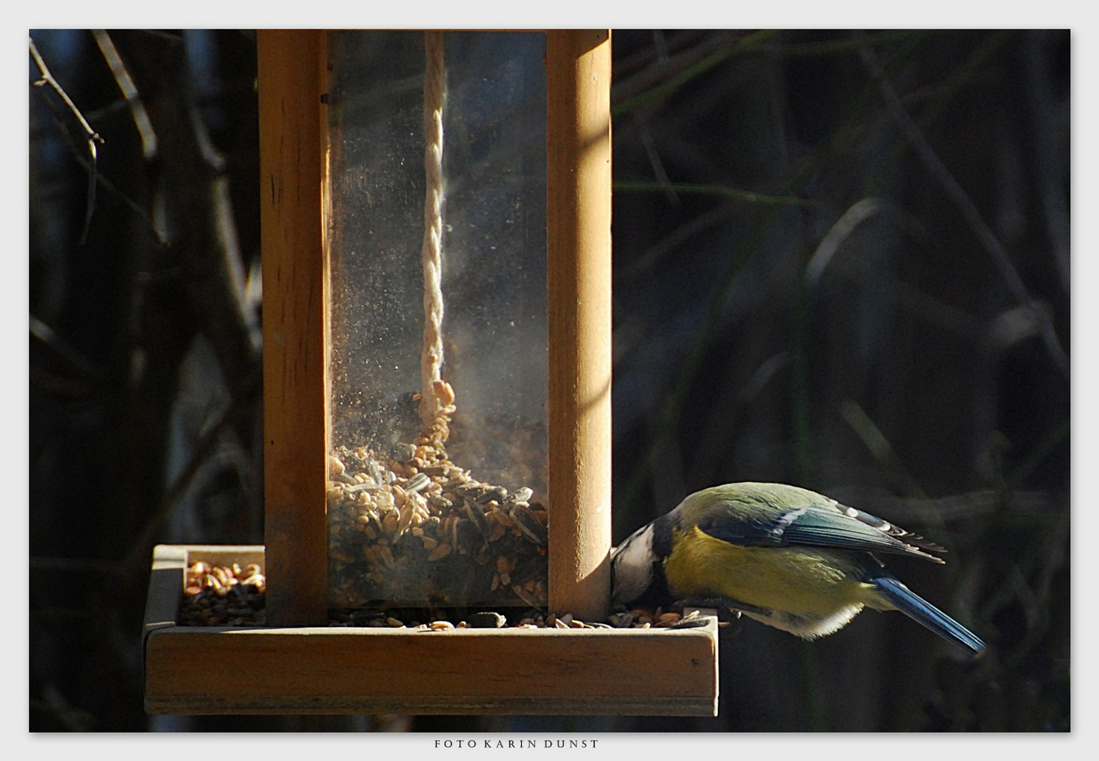 Ein Platz an der Sonne