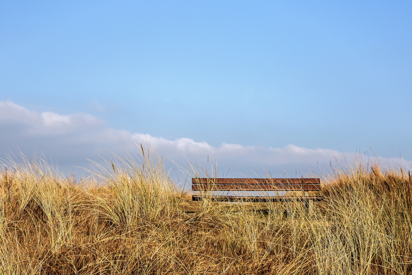 Ein Platz an der Sonne