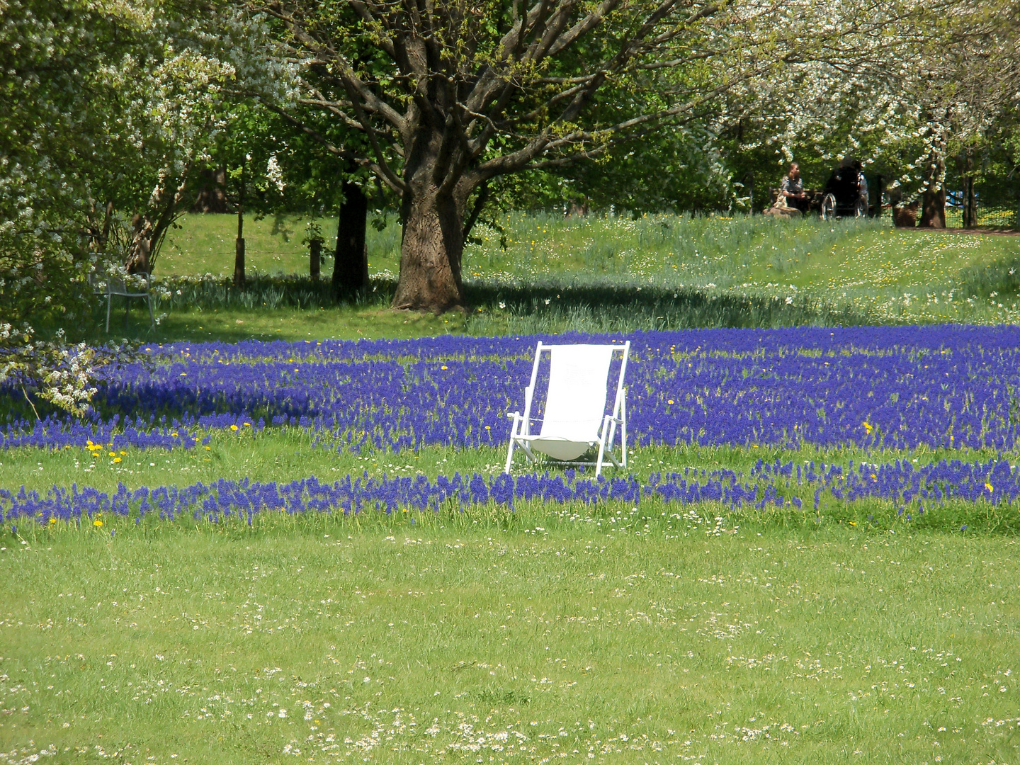 Ein Platz an der Sonne