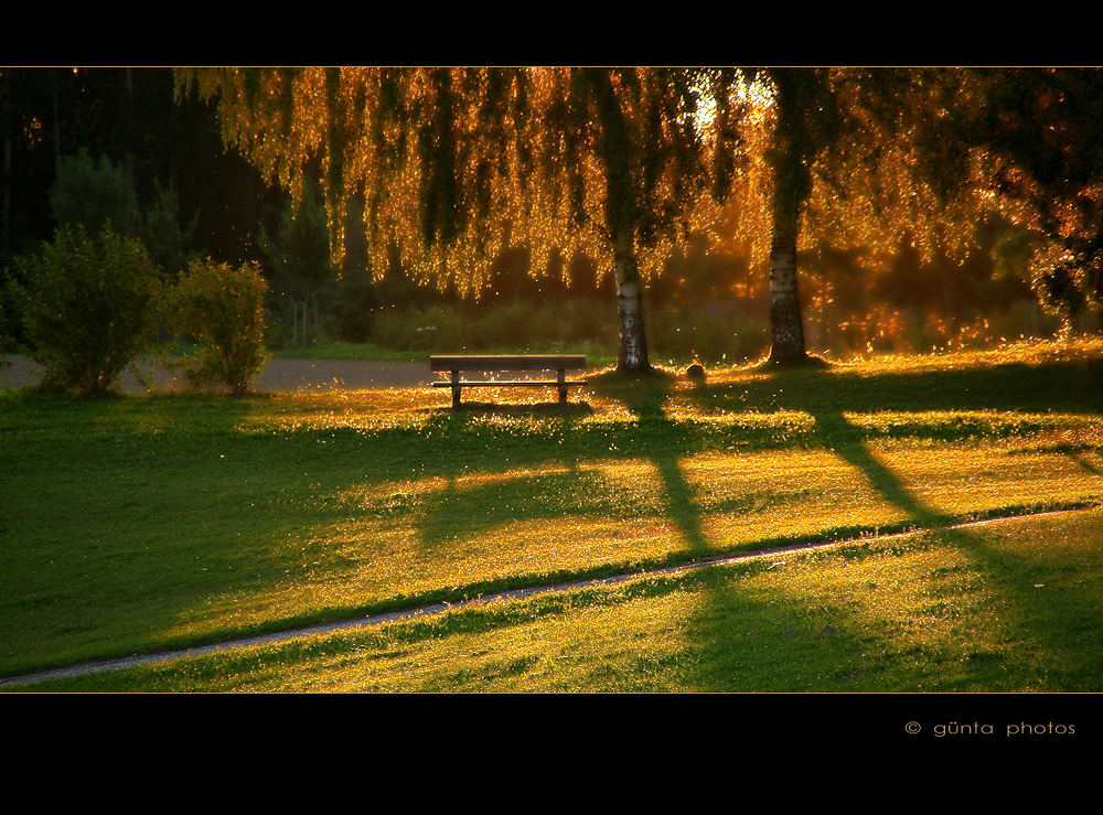 ein Platz an der Sonne