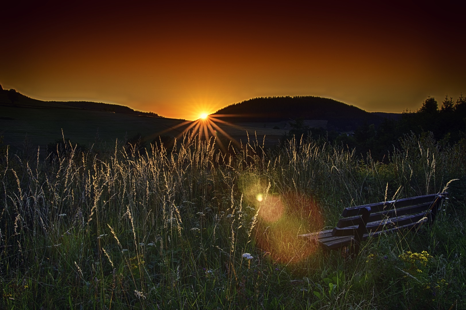 Ein Platz an der Sonne