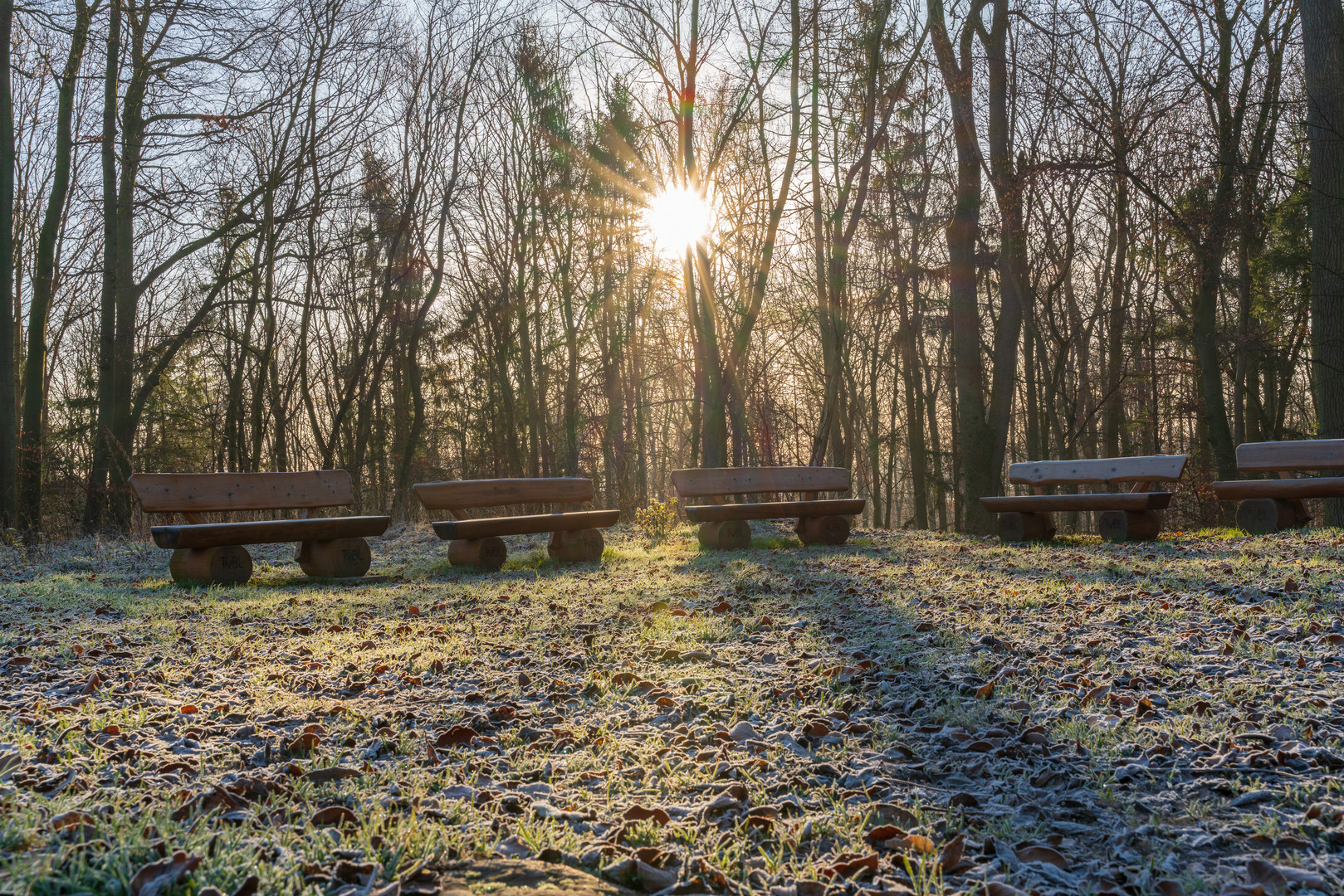 Ein Platz an der Sonne