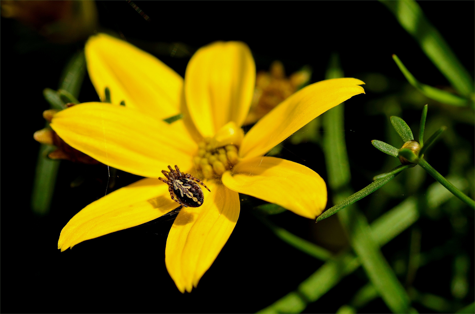 ein Platz an der Sonne...