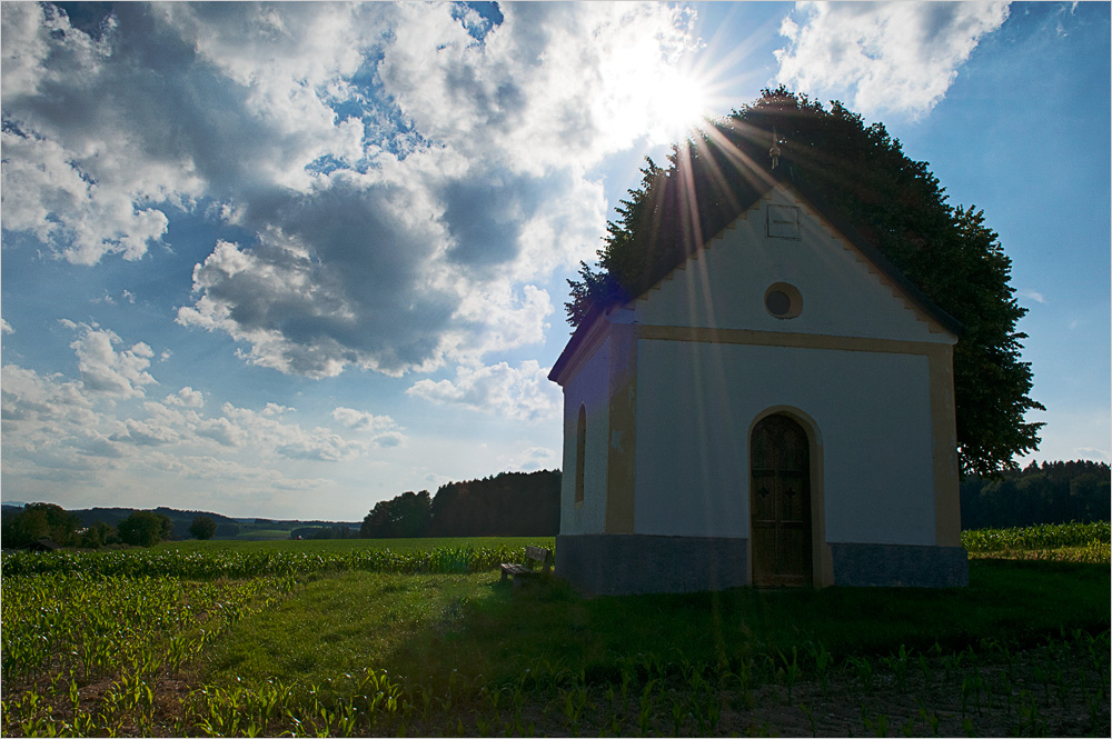 Ein Platz an der Sonne