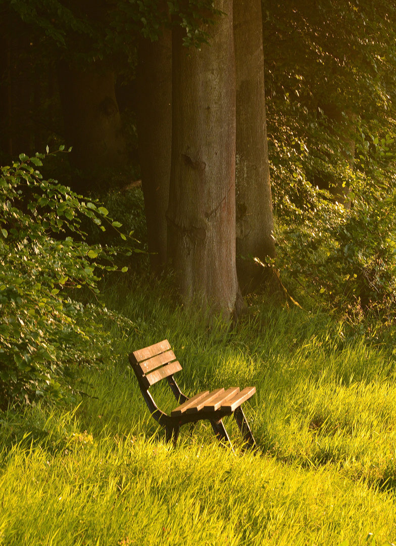 Ein Platz an der Sonne