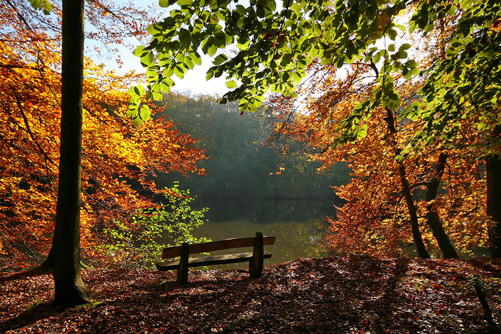 ein Platz an der Sonne...