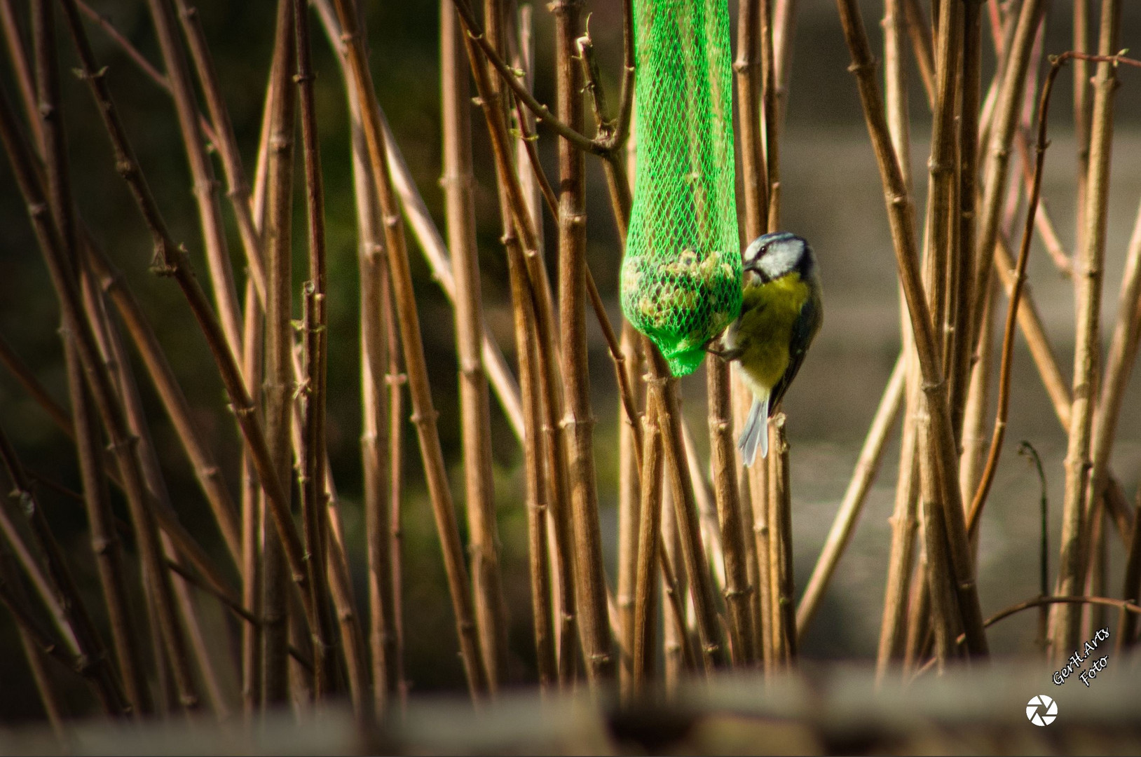 Ein Platz an der Sonne ...