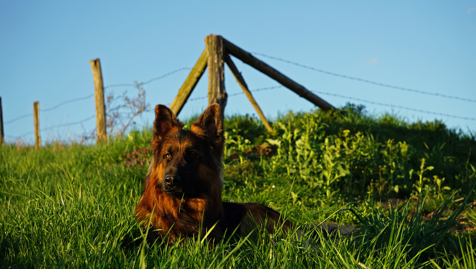 Ein Platz an der Sonne