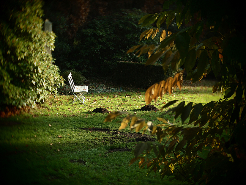 Ein Platz an der Sonne