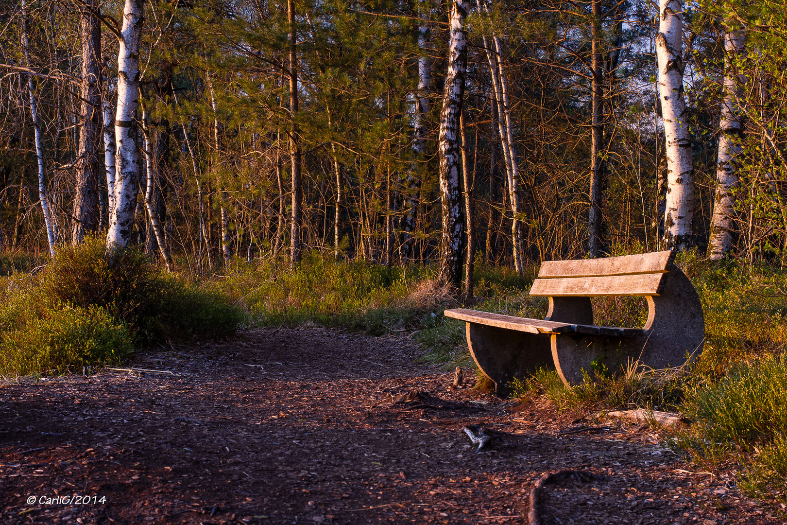 Ein Platz an der Sonne