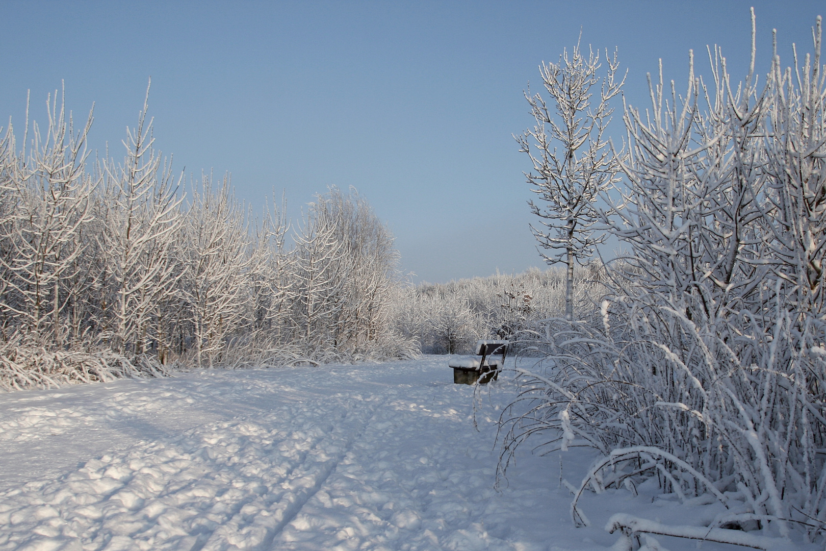 Ein Platz an der Sonne