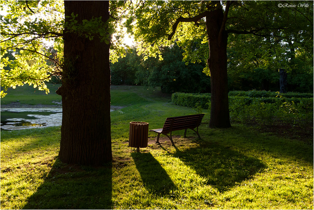 Ein Platz an der Sonne