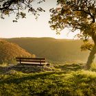 Ein Platz an der Sonne (Panorama Format)