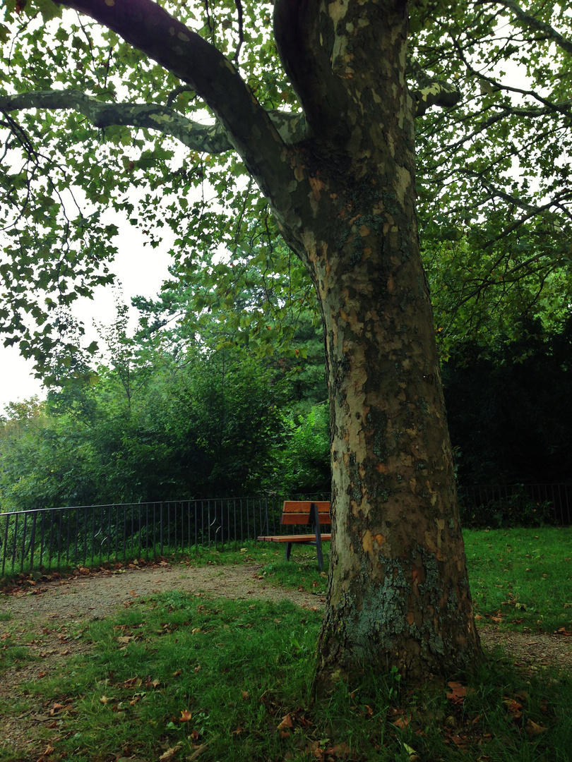 ein Platz der Ruhe im Grünen