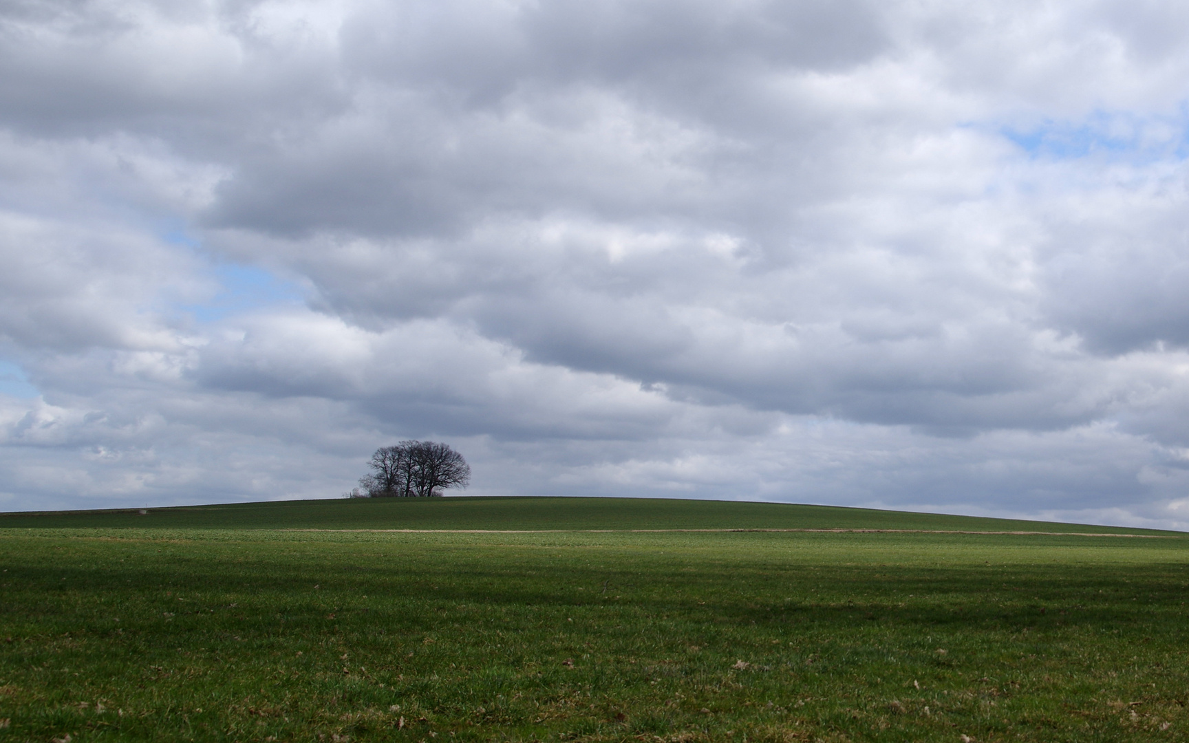 ein Platz für die Feldlerche