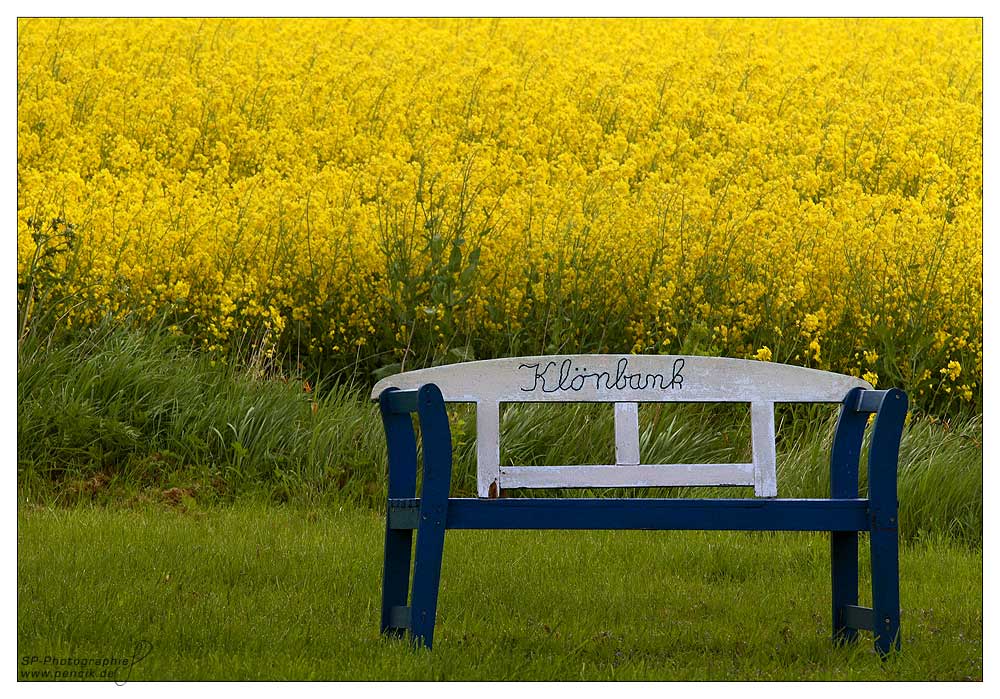 Ein Platz für Rapsfans