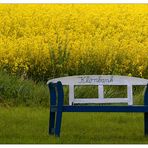 Ein Platz für Rapsfans