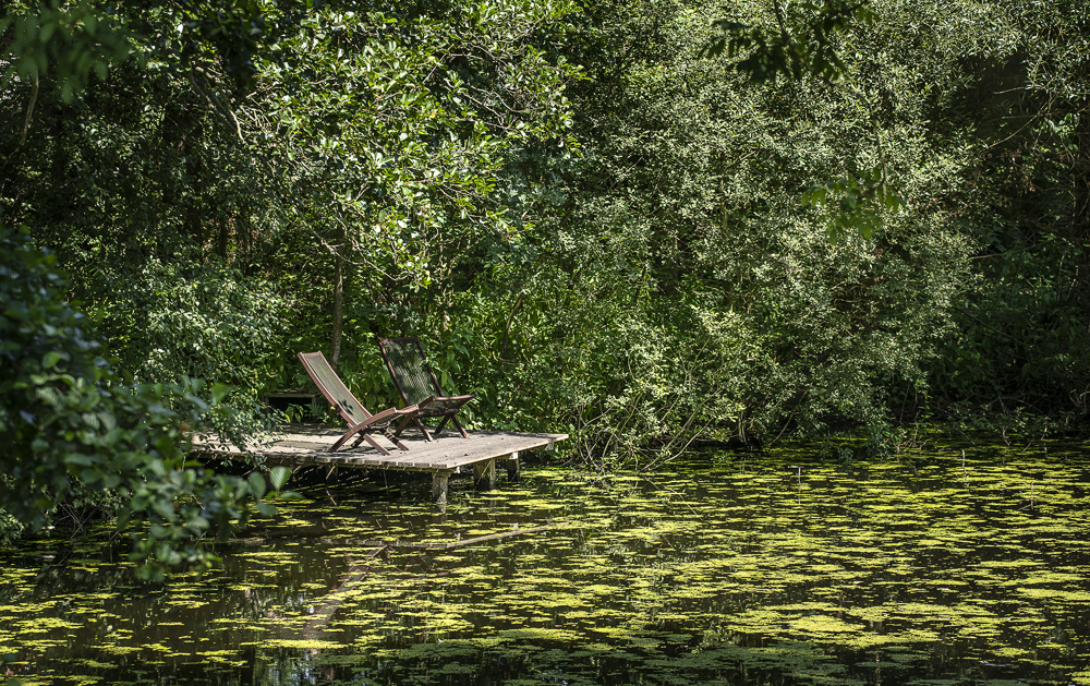 ein Platz im Grünen