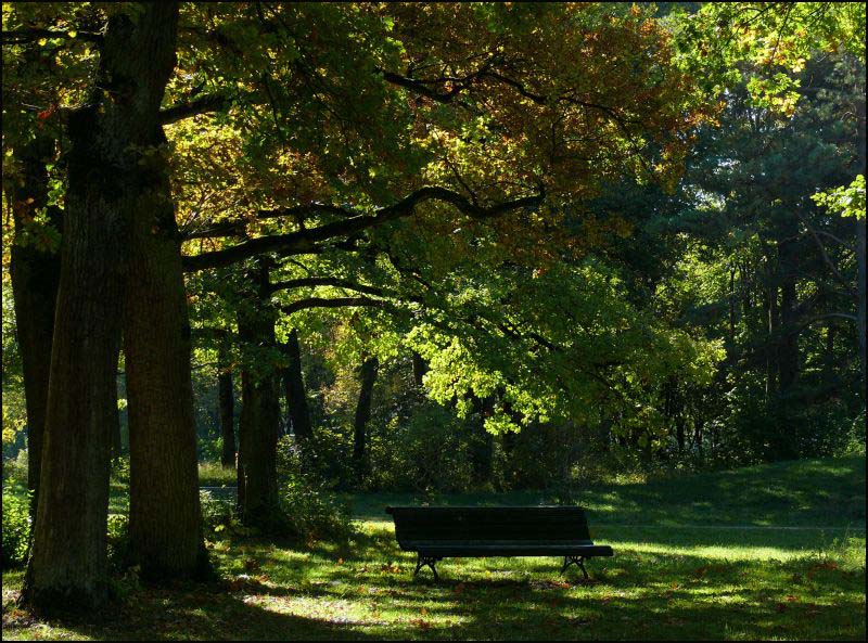 Ein Platz im Grünen