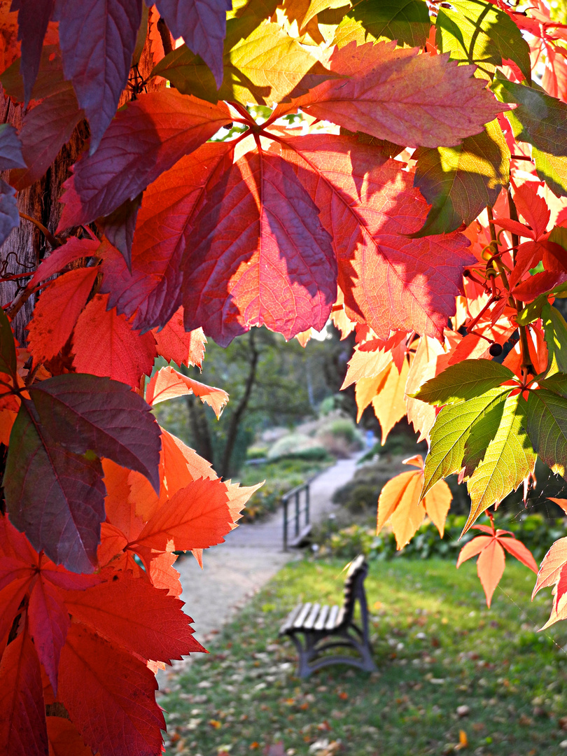 "Ein Platz im Herbst"