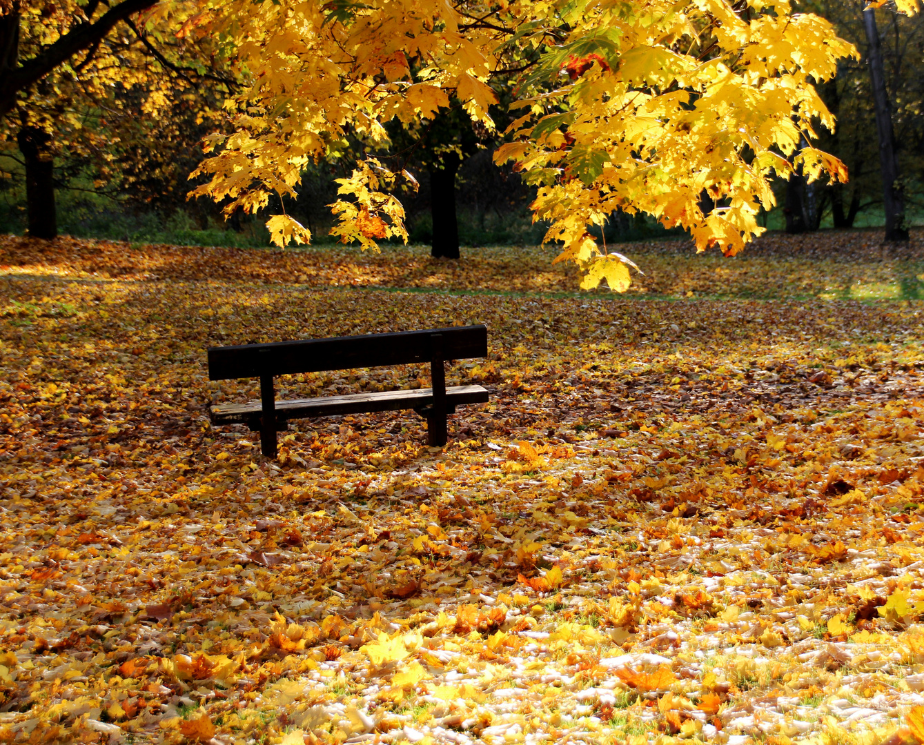 Ein Platz im Herbst