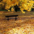 Ein Platz im Herbst